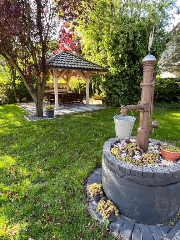 Zahrada ubytování Noclegi u Alicji- Apartamenty