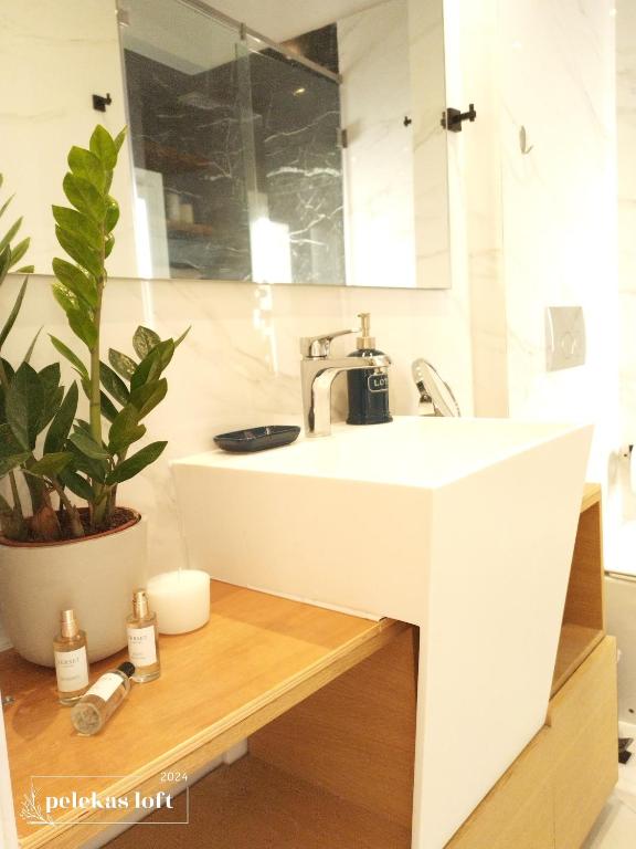 Kuchyň nebo kuchyňský kout v ubytování Pelekas loft