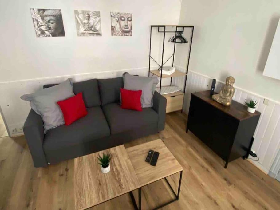 a living room with a gray couch and red pillows at Laurema's BnB in Toulouse