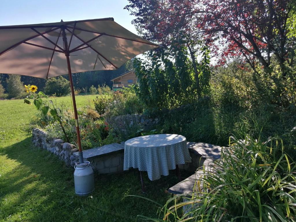 een tafel met een paraplu in de tuin bij das Vogelnest in Maierhöfen