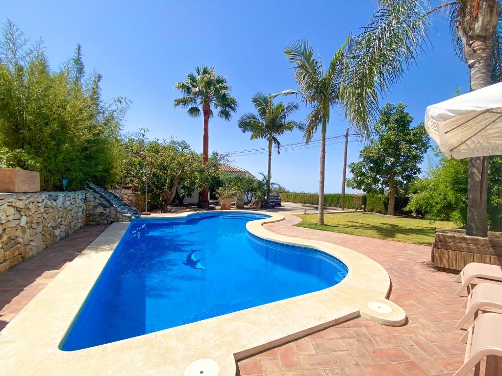 a swimming pool in a backyard with palm trees at Bed & Breakfast Casa del Palta in Canillas de Albaida