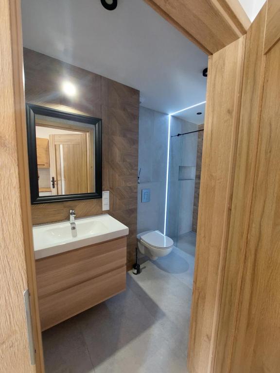 a bathroom with a sink and a toilet and a mirror at Apartamenty Jaskółcza in Bydgoszcz