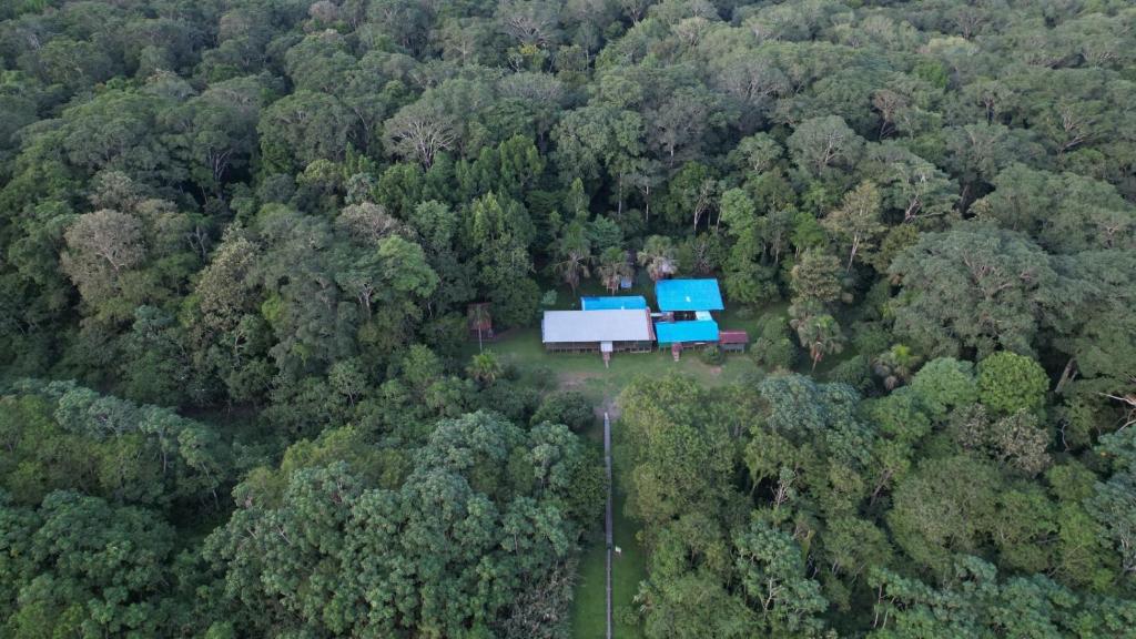 Vue aérienne d'une maison au milieu d'une forêt dans l'établissement Refugio Rural Amazonas, à Iquitos