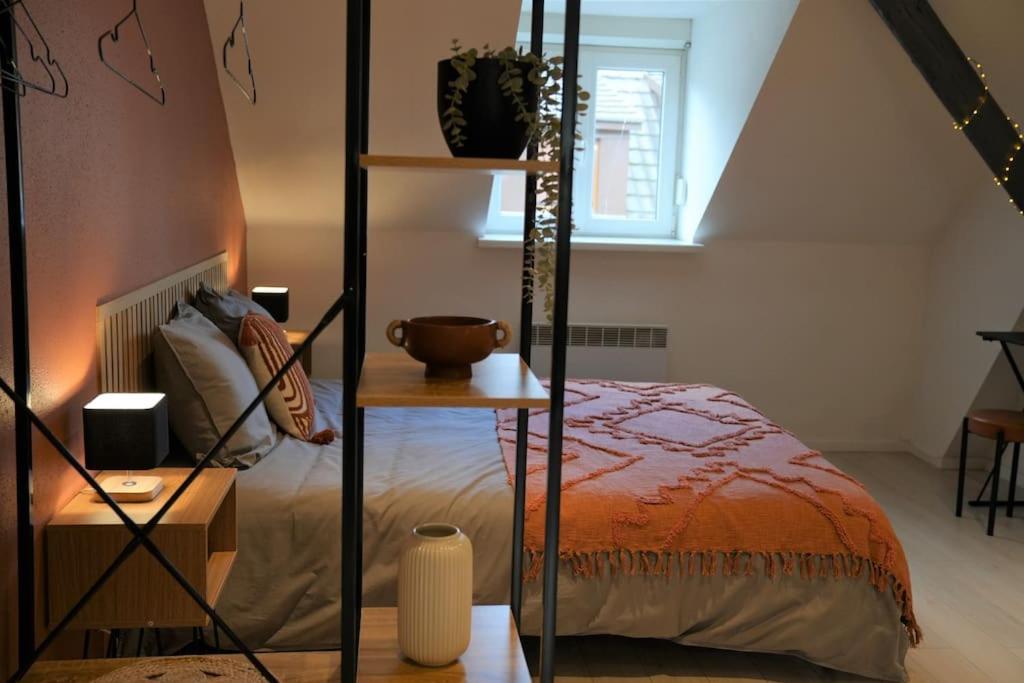 a bedroom with a bed and a book shelf at Cocon du Florival in Guebwiller