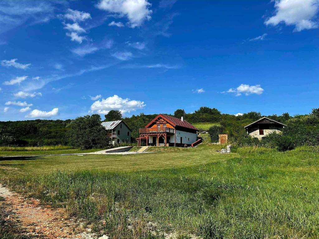 ein Haus mitten auf einem grünen Feld in der Unterkunft Borkert Panzió 
