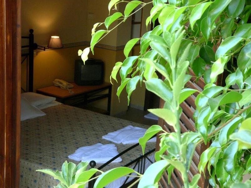 Alexandros Studios & Apartments - 4