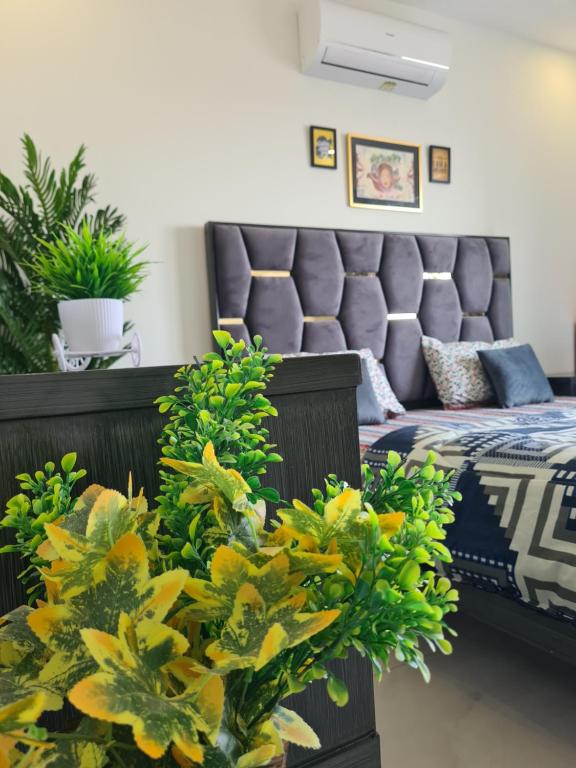 a living room with a bed and a couch at 1 Bed Modern Apartment, Pool, Gym, Cinema in Lahore