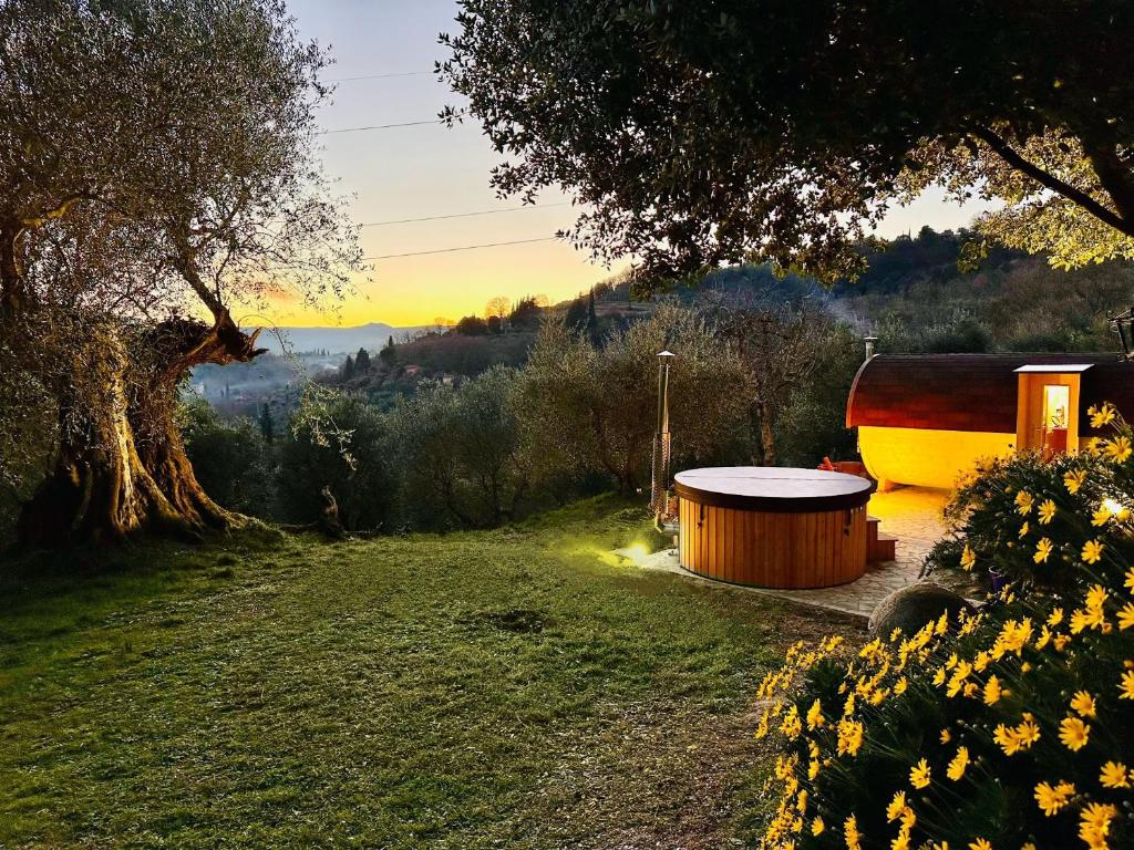 丘西的住宿－Montebello degli Olivi，木浴缸,在田野上,有树