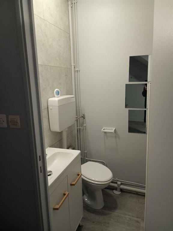 a white bathroom with a toilet and a sink at Location saisonnière Angoulême in Angoulême