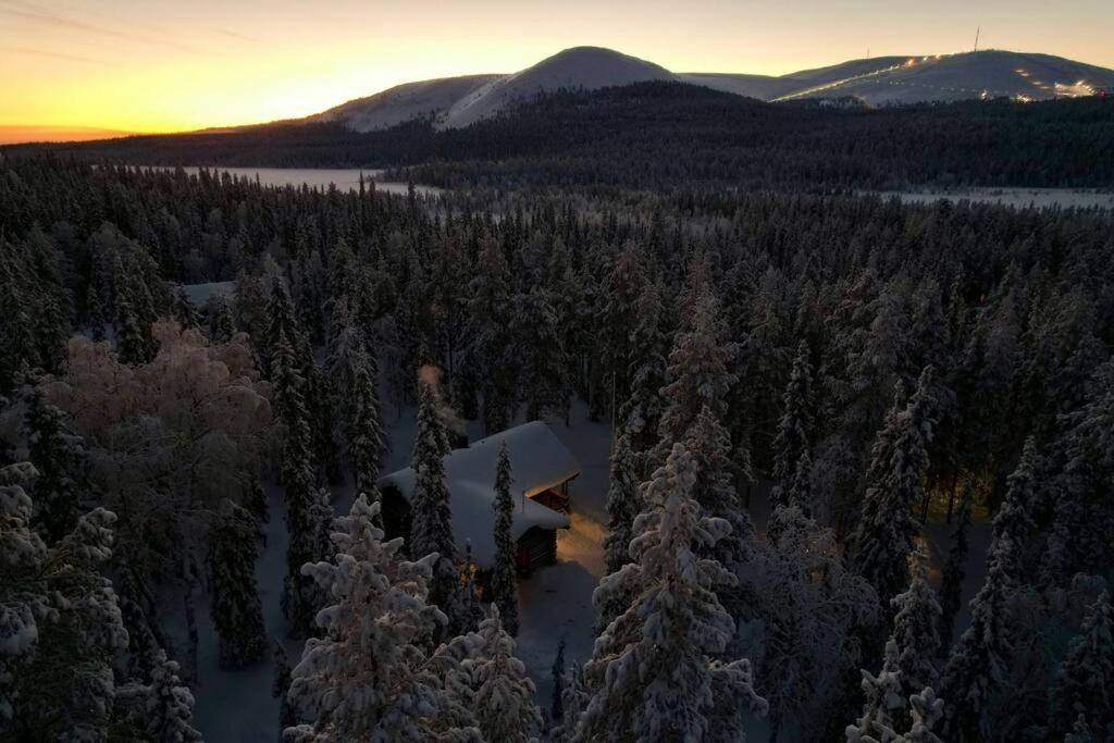 an aerial view of a forest with snow covered trees at Koto Lodge - Yllästunturi in Äkäslompolo