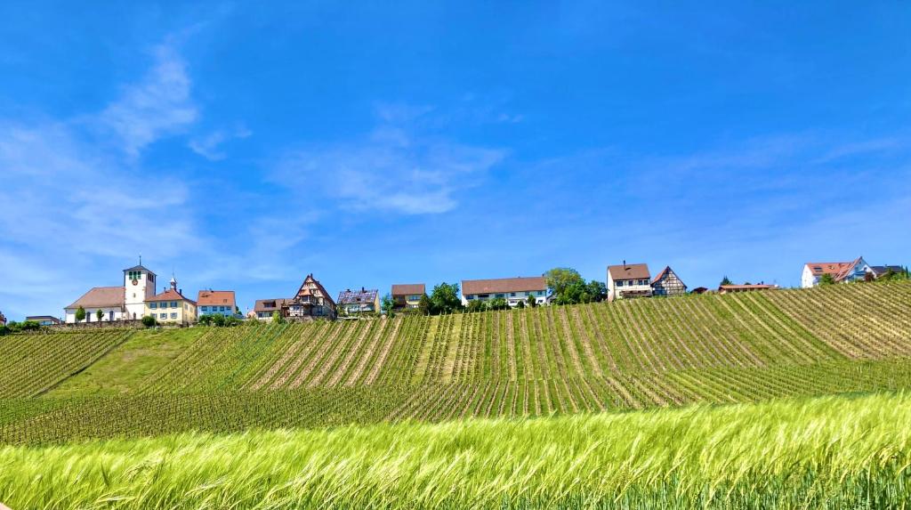 ein Grasfeld mit Häusern darüber in der Unterkunft Naturnahe und perfekt angebundene Altbauwohnung Weinort Hohenhaslach in Sachsenheim