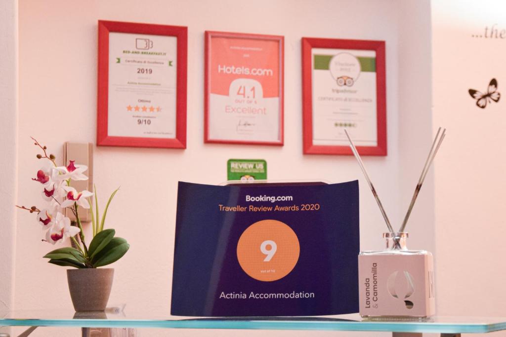 Certifikát, hodnocení, plakát nebo jiný dokument vystavený v ubytování Actinia Accommodation
