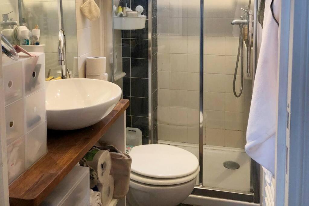 a bathroom with a toilet and a sink and a shower at Appartement calme et lumineux 4 voyageurs in Malakoff