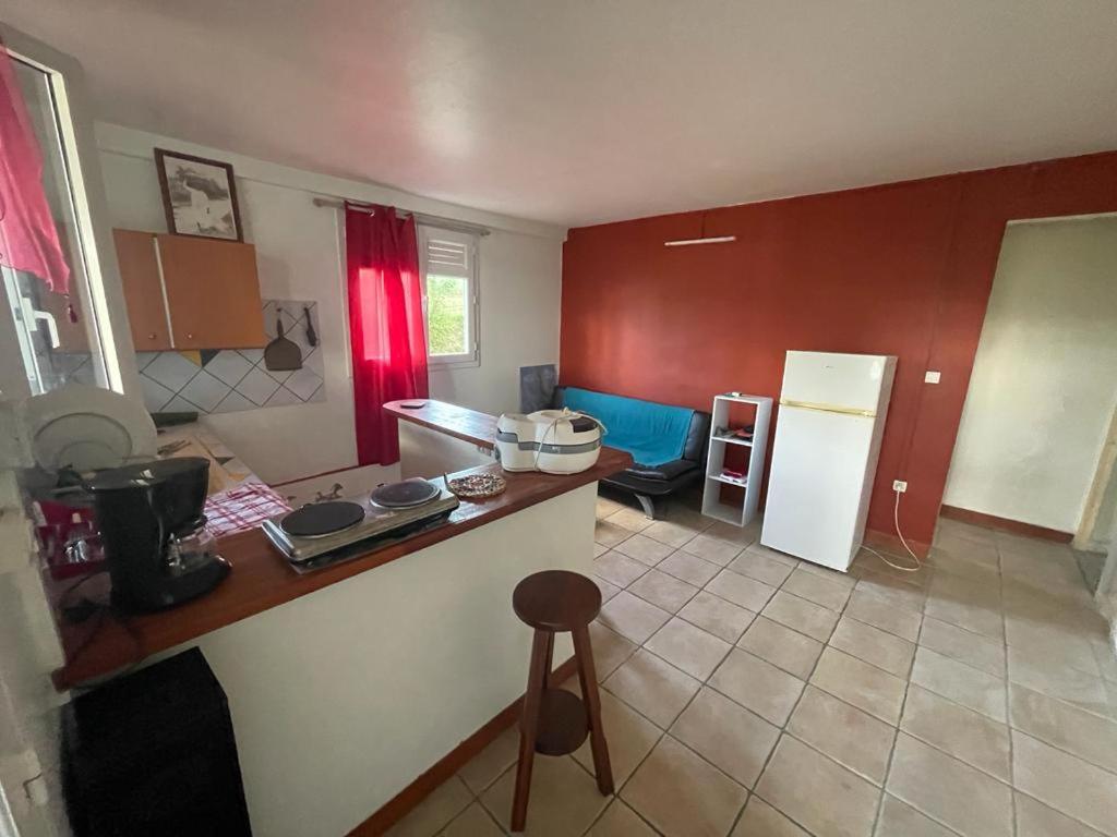 Kuchyň nebo kuchyňský kout v ubytování Villa yoyo poirier