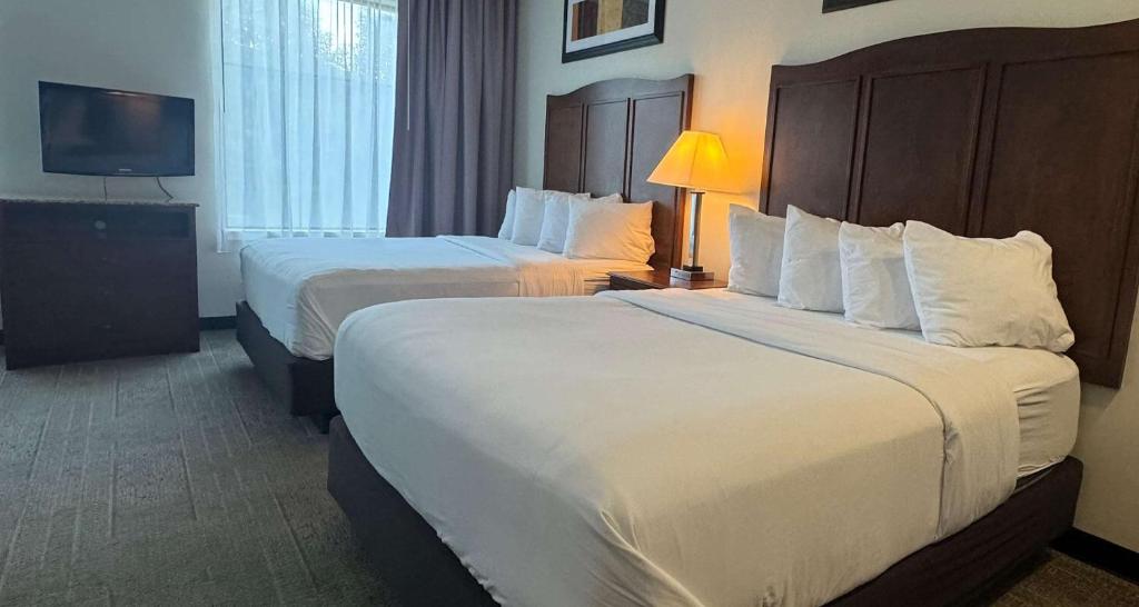 Best Western PLUS Hannaford Inn & Suites photo