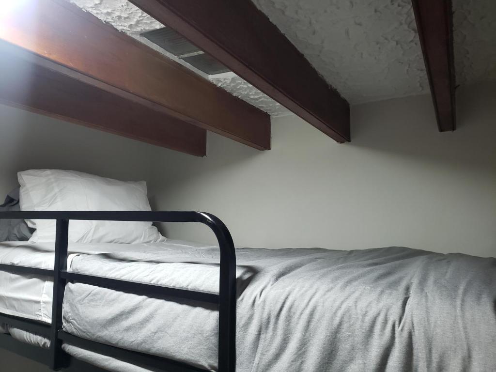 Centric, private, petfriendly apartments in Miraflores and home in Lince - Two-Bedroom Apartment