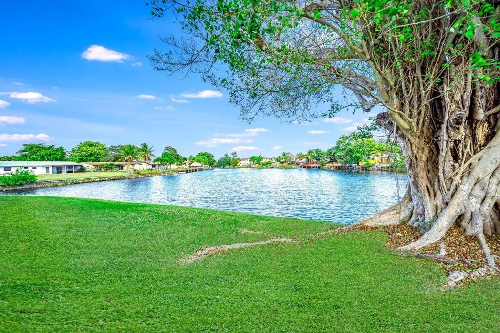 a tree in the grass next to a river at King Water View - No Extra Fees - Palm Wave Says in Coconut Creek