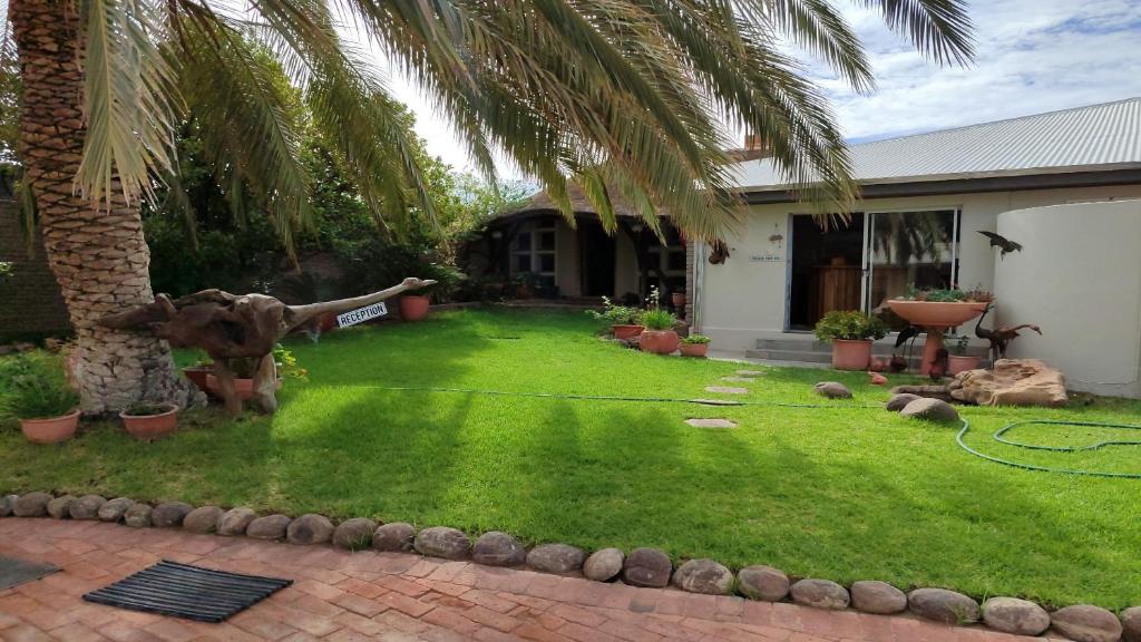 a yard with a palm tree and a house at Bird's Nest Guest House in Keetmanshoop