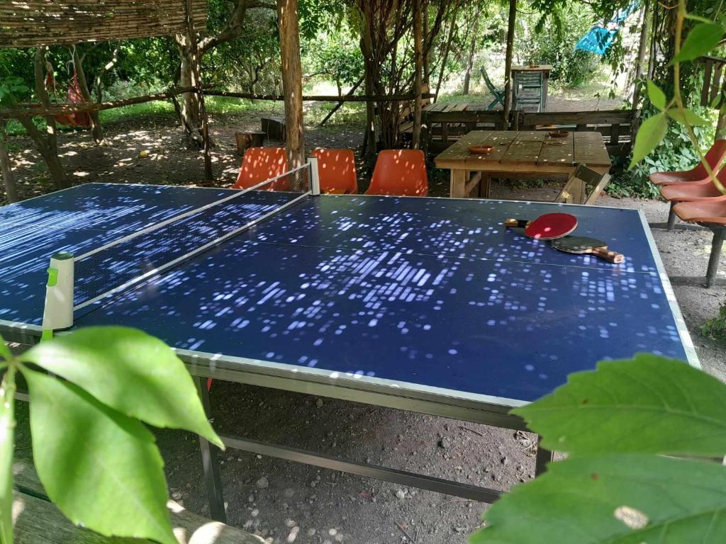 una mesa de ping pong azul en un jardín en Brandito's, en Torre del Greco