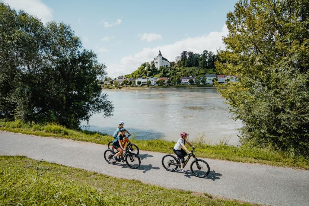 3 Leute fahren Fahrrad auf einem Weg neben einem Fluss in der Unterkunft Privatzimmer - Sieben an der Donau in Ottensheim