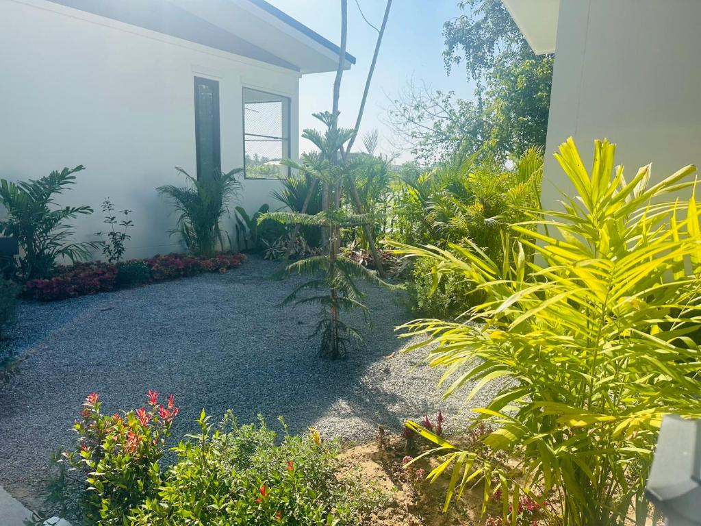 22 Twenty Two Chiang Mai - Resim 13