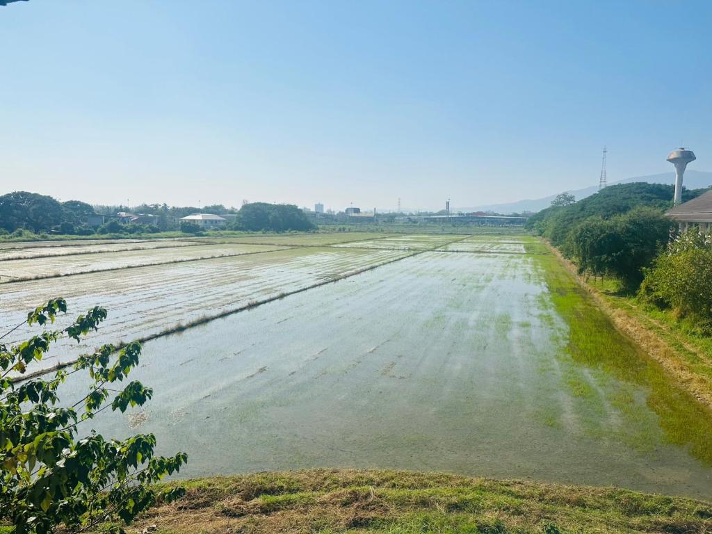 22 Twenty Two Chiang Mai - Resim 15