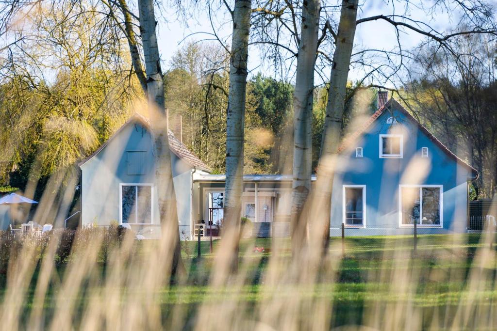 a blue house in the middle of a yard at Pommernhaus mit Seeblick, Sauna, Kamin, Ruderboot in Rieth