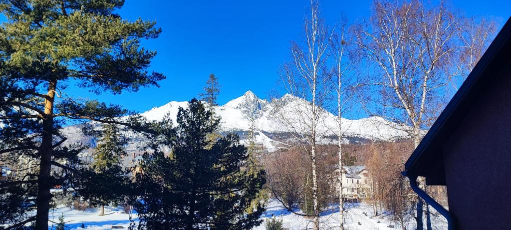 Nespecifikovaný výhled na hory nebo výhled na hory při pohledu z apartmánu