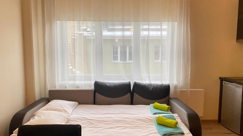 Kastanimaja Apartments - King Studio