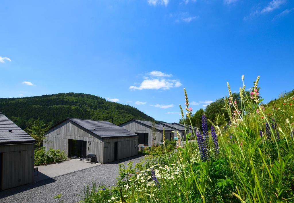 eine Reihe von Häusern mit Bergen im Hintergrund in der Unterkunft Sauerland Lodge - Haus Julius in Winterberg