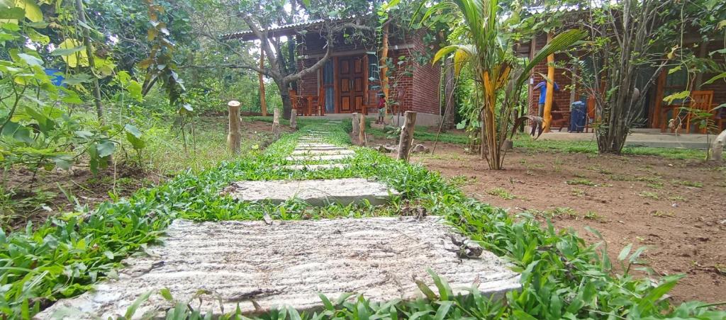 a path leading to a house in a forest at WILAPTTU WILD VILLA in Pahala Maragahawewa