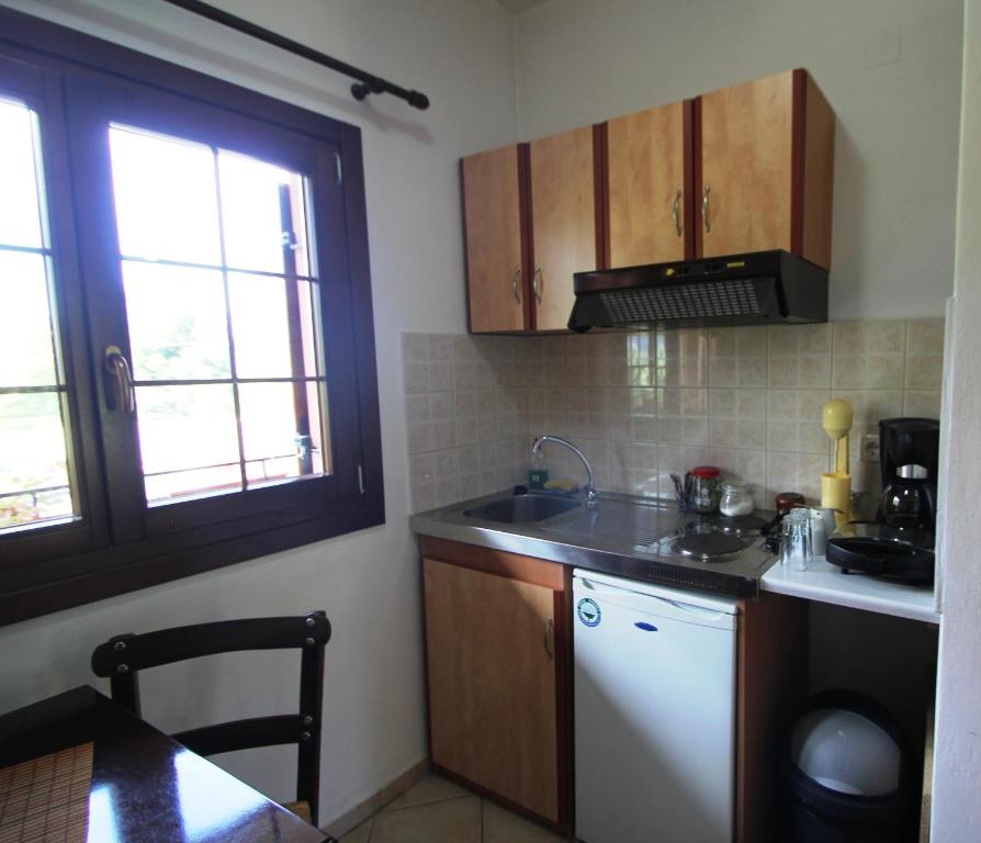 Kuchyň nebo kuchyňský kout v ubytování Artemis Apartments