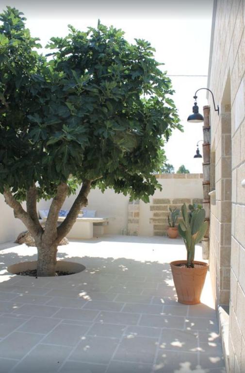 Fotografie z fotogalerie ubytování Dimora Cavalieri charming house salento puglia v destinaci Andrano