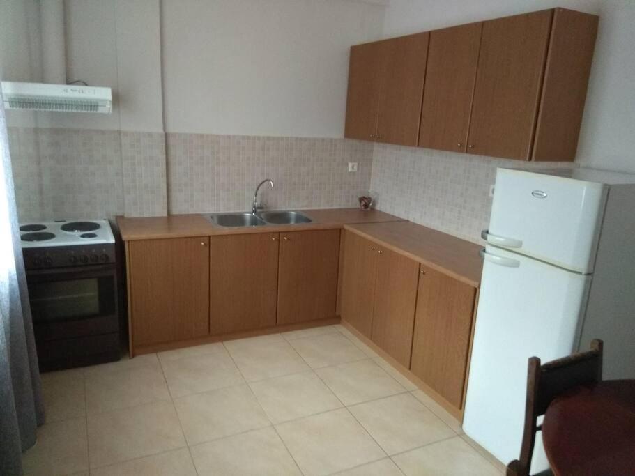 a kitchen with a sink and a white refrigerator at CITY CENTER APARTMENT in Sparta
