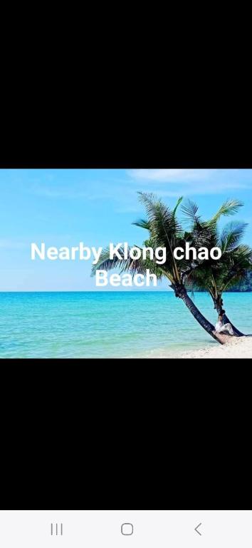 库德岛Pink Kangaroo Bungalows的海滩上棕榈树的照片