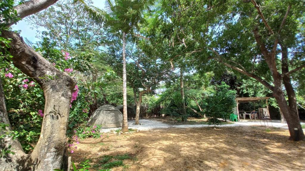 Zahrada ubytování Bamba Kofi Lodge