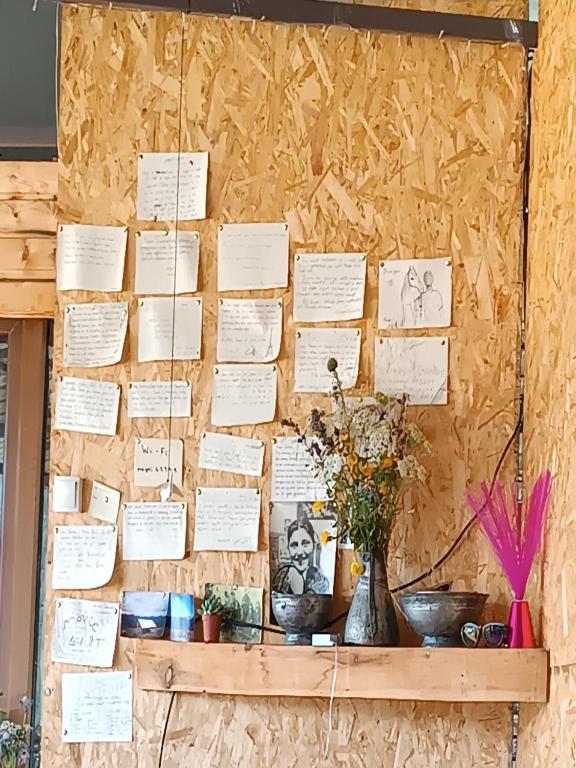 Fotografie z fotogalerie ubytování Nadiani Hostel v destinaci Omalo