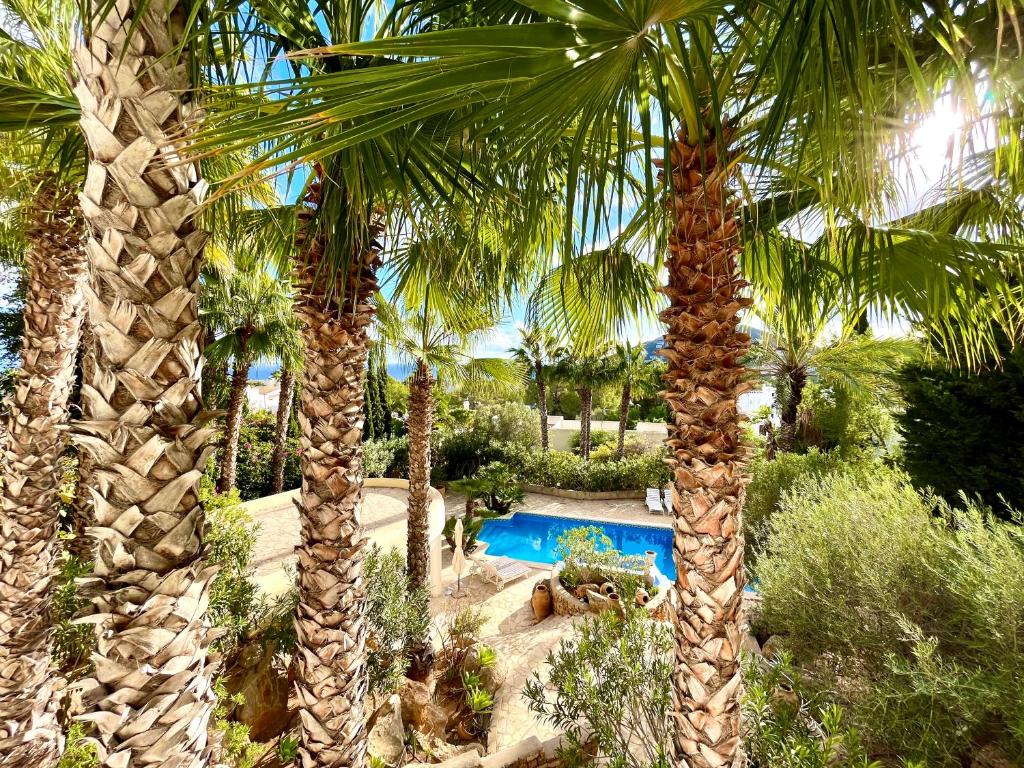 a group of palm trees and a swimming pool at Casa Grecia in Santa Eularia des Riu