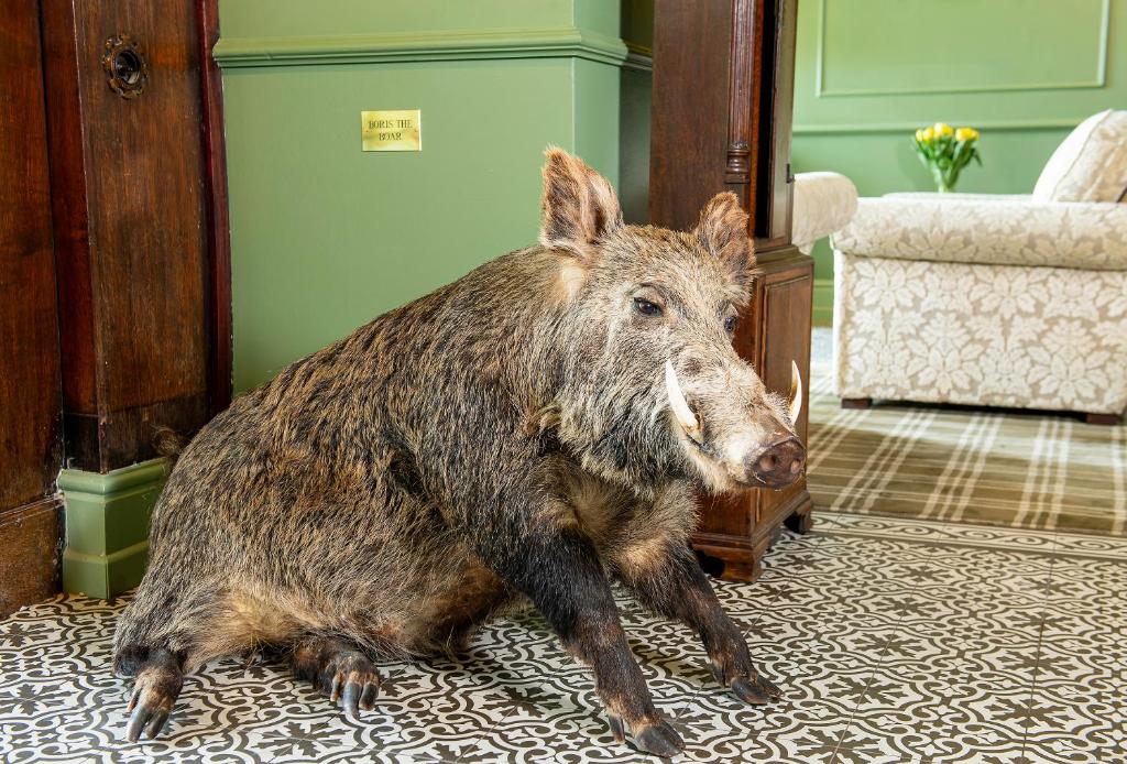 The Central Hotel - Resim 14