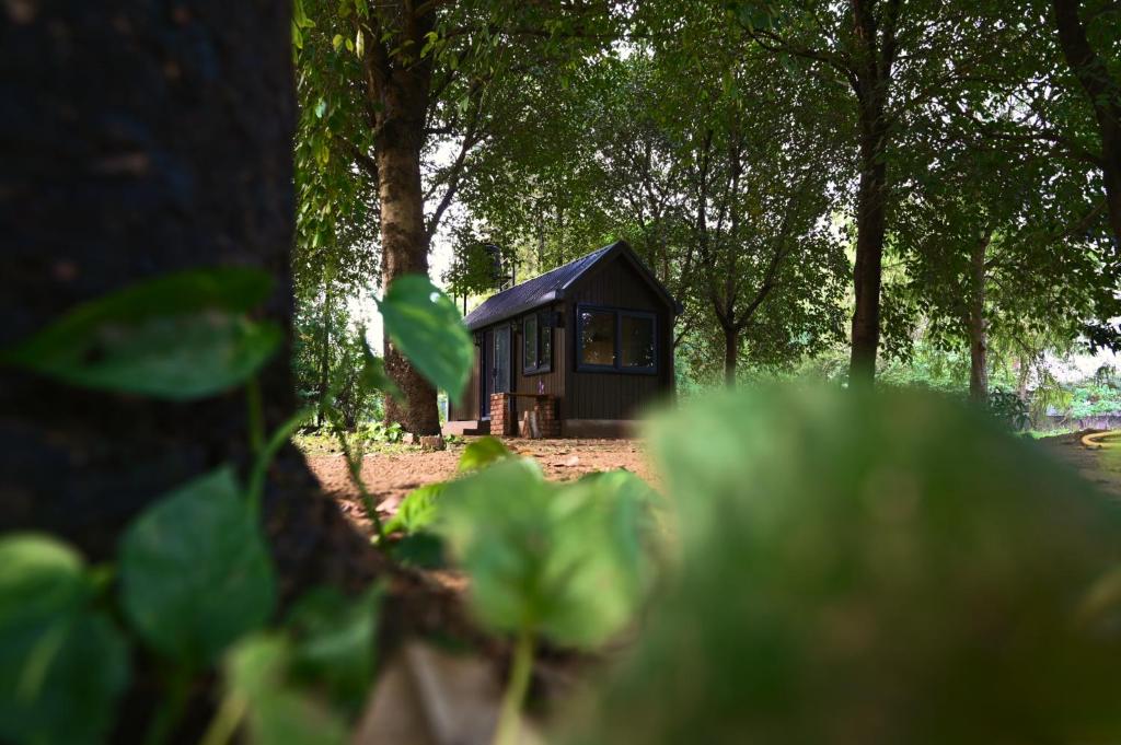 uma pequena casa preta no meio das árvores em Tenpy Tiny Enchanting Tintin at Sheilma Farm, NCR em Dhauj