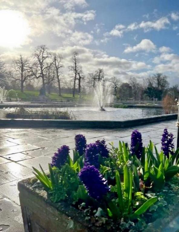 Rove Hotel London Paddington - Resim 17