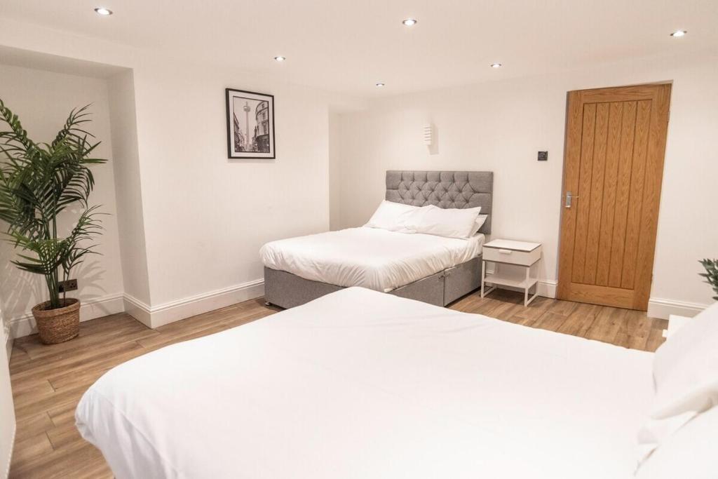 a bedroom with two beds and a plant at Camden Apartments 2 in Liverpool
