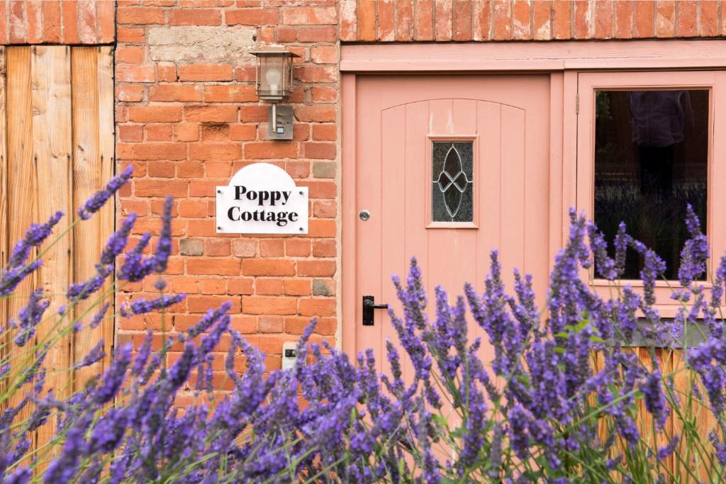 a house with a pink door and purple flowers at Poppy Cottage - Great Houndbeare Farm Holiday Cottages in Aylesbeare