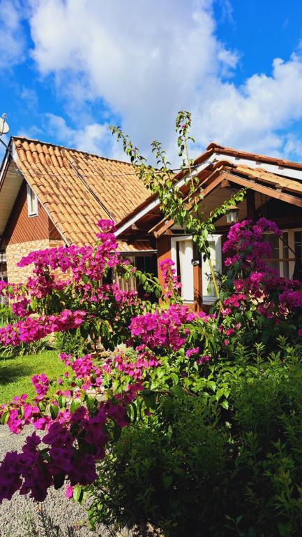 烏魯比西的住宿－Chalés Doce Luar casas de temporada，房子前面的一束鲜花