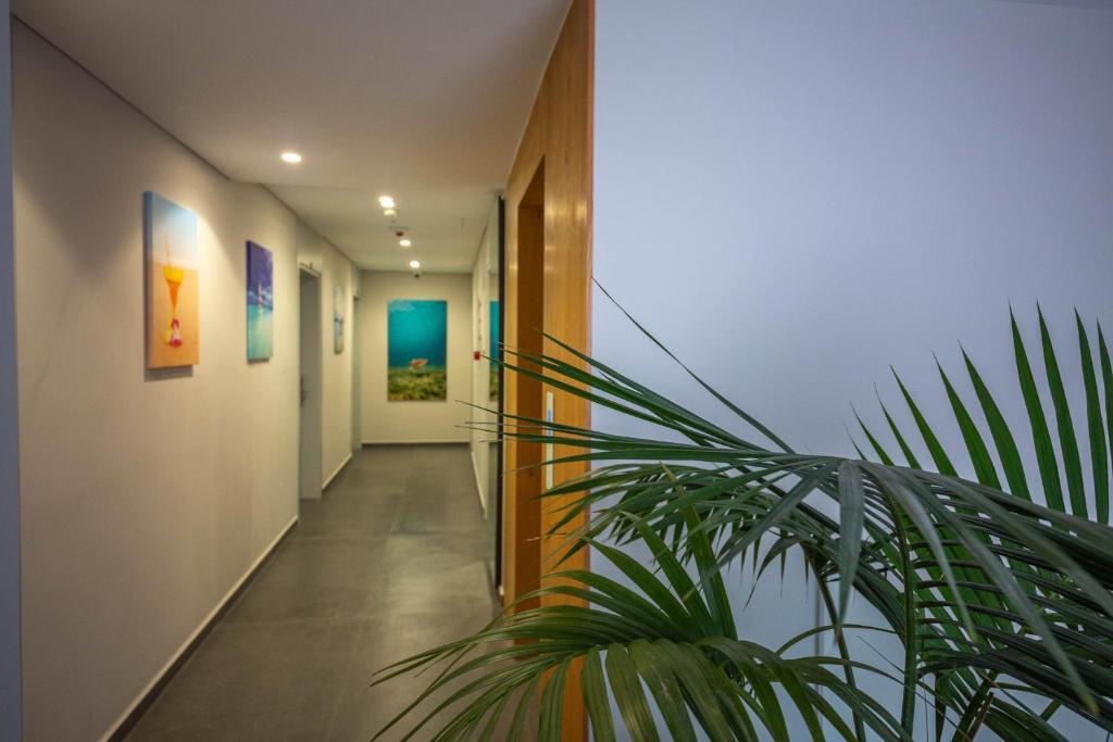 Fotografie z fotogalerie ubytování Hotel Sole Mare v destinaci Ksamil