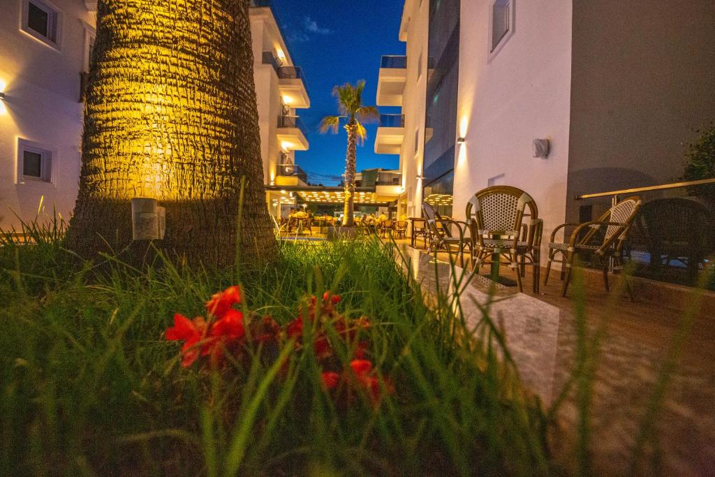 Zahrada ubytování Hotel Sole Mare