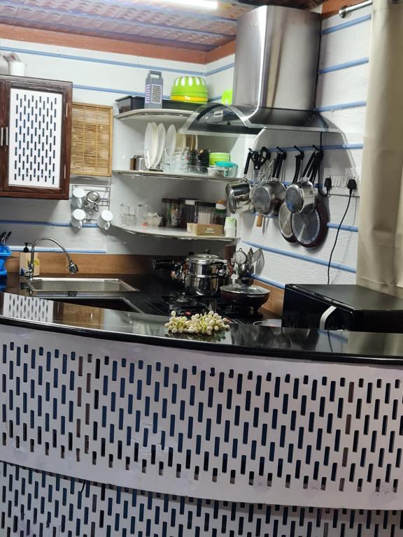 Il comprend une cuisine équipée d'un four et de plaques de cuisson. dans l'établissement LEEHOME RESORT, à Thrissur