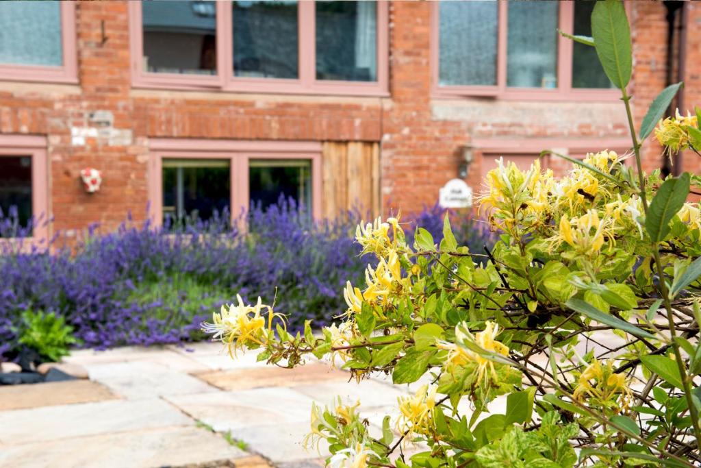 un edificio con flores púrpuras frente a un edificio en Lime Cottage - Great Houndbeare Farm Holiday Cottages, en Aylesbeare