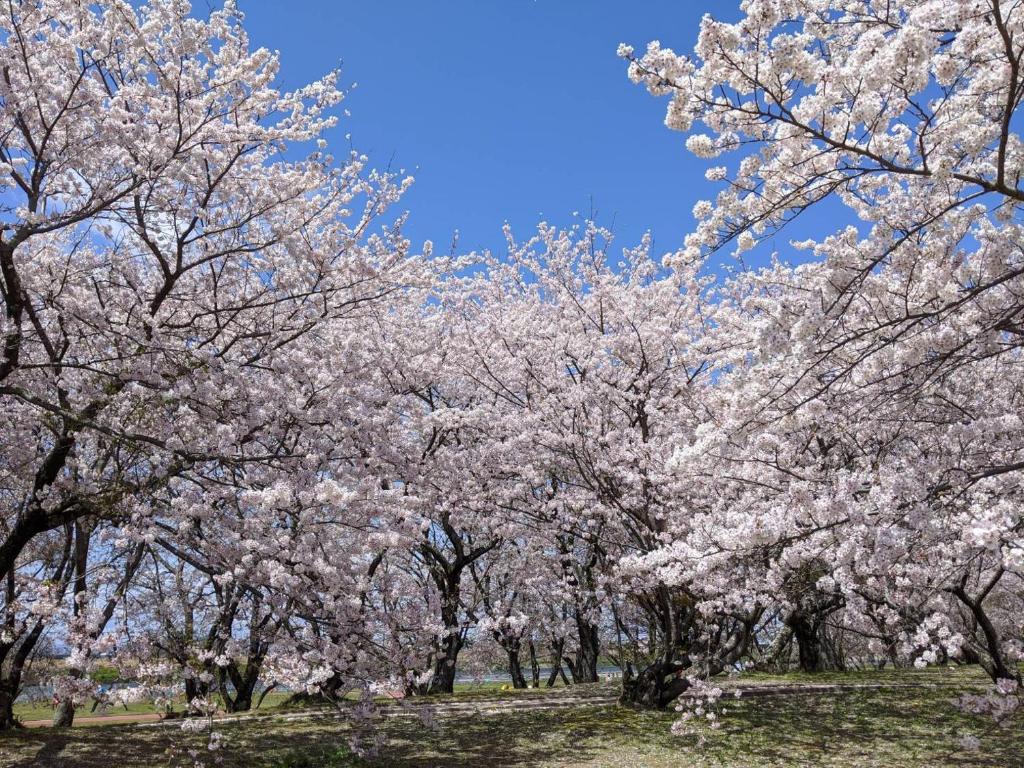 Fotografie z fotogalerie ubytování 加美屋リゾート伊勢神宮 おかげの庭-Kamiya Resort Ise Shrine Okage no Niwa v destinaci Ise