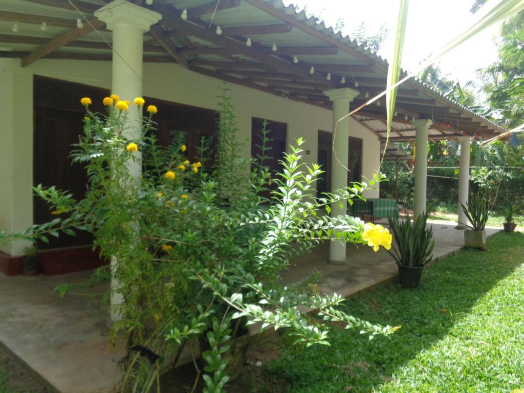 a garden with yellow flowers and a pergola at Green Valley Home stay in Talpe